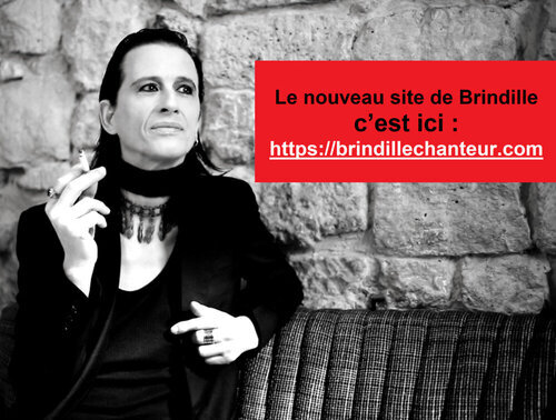 http://brindille-chanteur.cowblog.fr/images/BrindillenouveausiteLabeldeNuitProductions.jpg